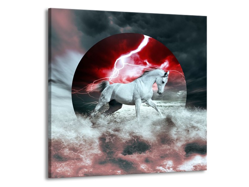 Canvas schilderij Paard | Rood, Grijs, Wit | 50x50cm 1Luik