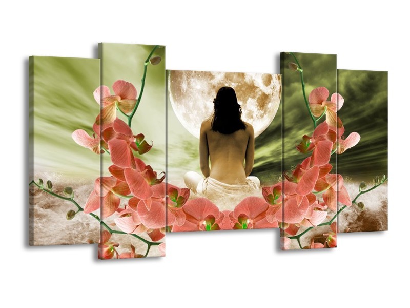 Canvas schilderij Orchidee | Roze, Groen, Wit | 120x65 5Luik