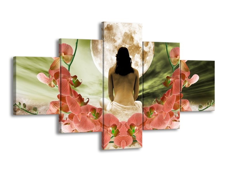 Canvas schilderij Orchidee | Roze, Groen, Wit | 125x70cm 5Luik