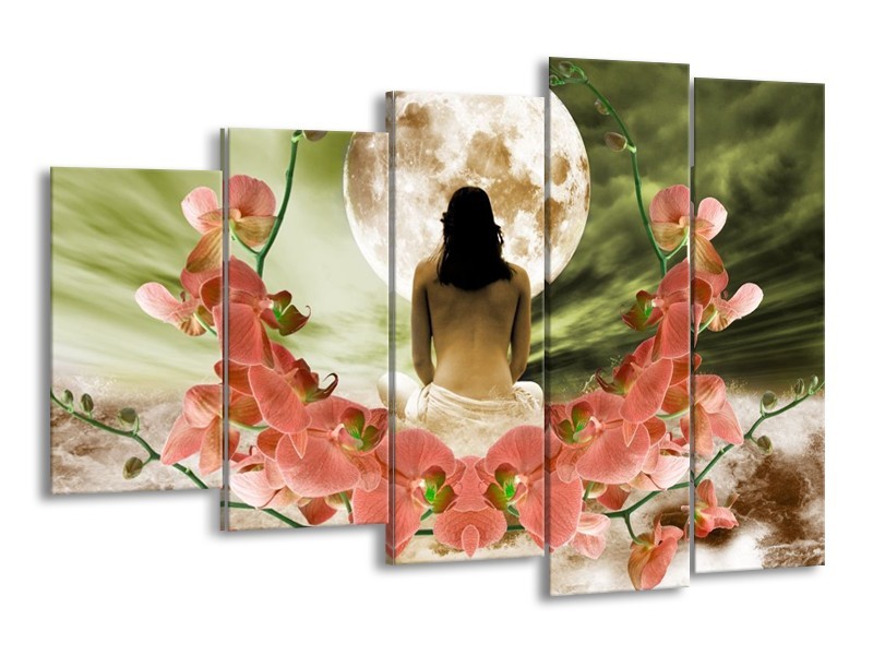 Canvas schilderij Orchidee | Roze, Groen, Wit | 150x100cm 5Luik