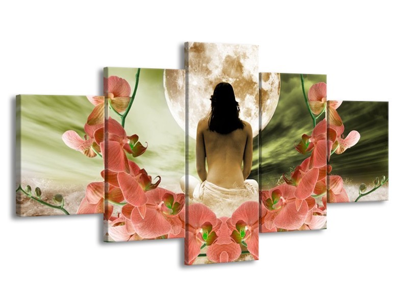 Canvas schilderij Orchidee | Roze, Groen, Wit | 150x80cm 5Luik