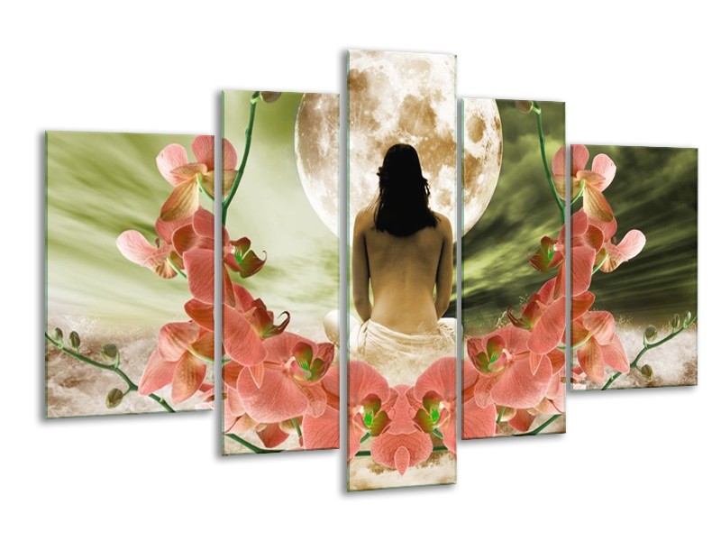 Canvas schilderij Orchidee | Roze, Groen, Wit | 170x100cm 5Luik