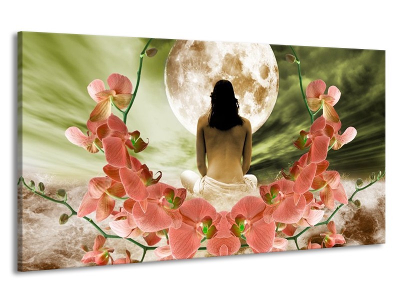 Canvas schilderij Orchidee | Roze, Groen, Wit | 190x100cm 1Luik