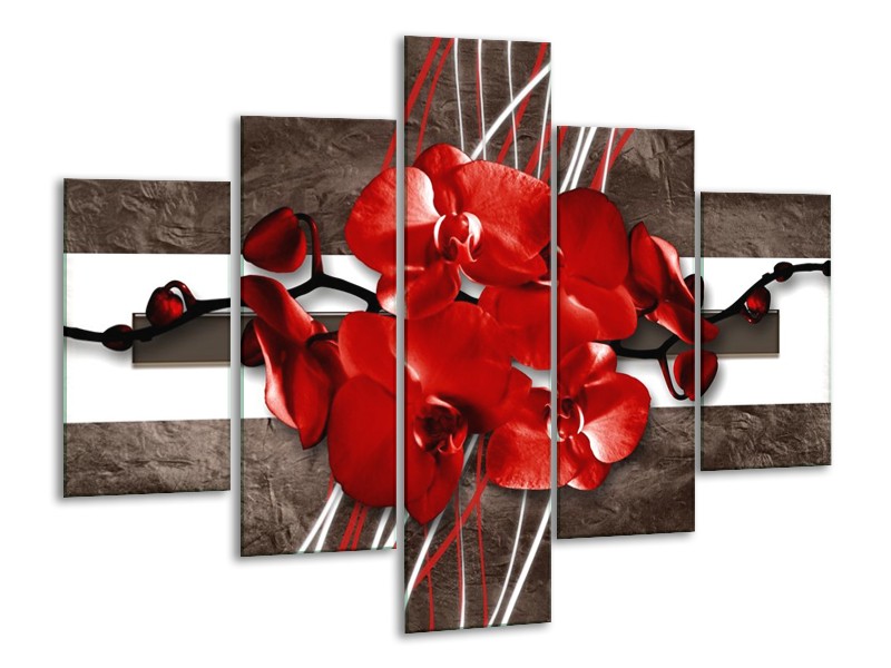 Glas schilderij Orchidee | Rood, Bruin, Wit | 100x70cm 5Luik