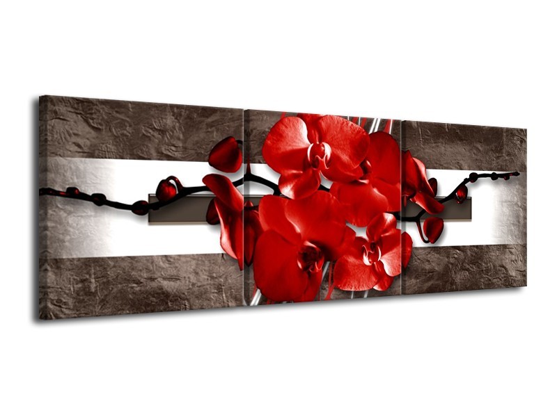 Canvas schilderij Orchidee | Rood, Bruin, Wit | 120x40cm 3Luik