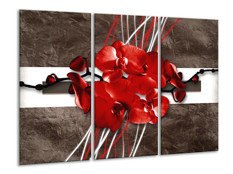 Canvas schilderij Orchidee | Rood, Bruin, Wit | 120x80cm 3Luik