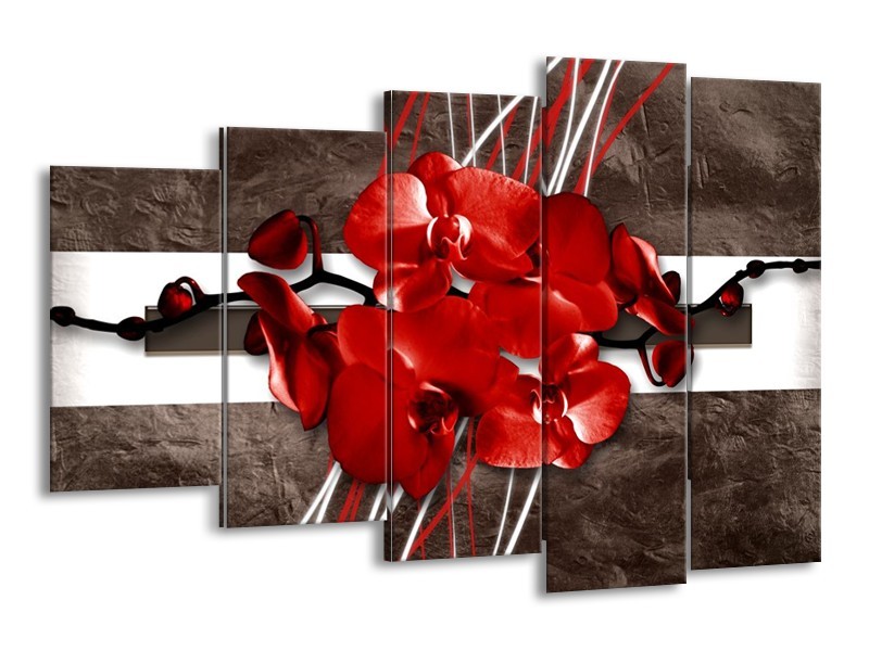 Glas schilderij Orchidee | Rood, Bruin, Wit | 150x100cm 5Luik