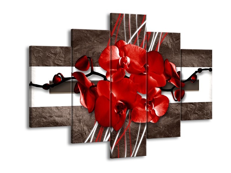 Canvas schilderij Orchidee | Rood, Bruin, Wit | 150x105cm 5Luik