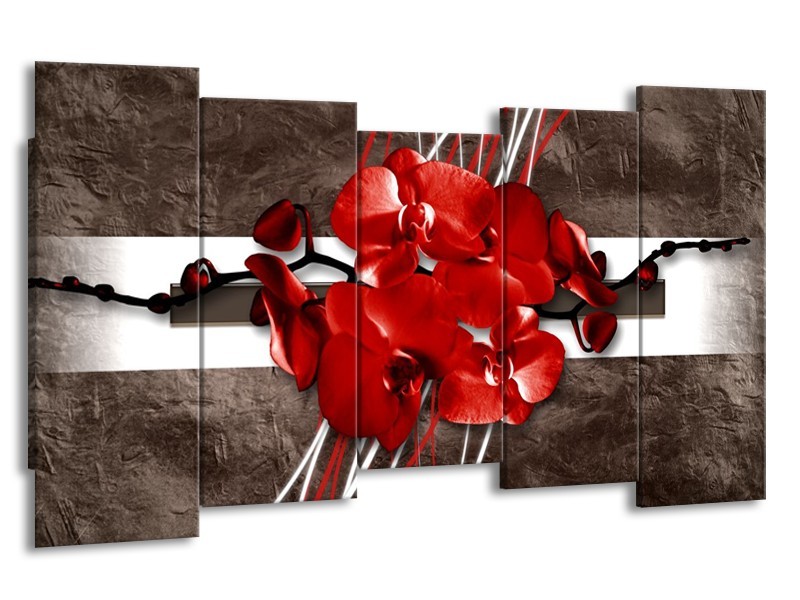 Canvas schilderij Orchidee | Rood, Bruin, Wit | 150x80cm 5Luik