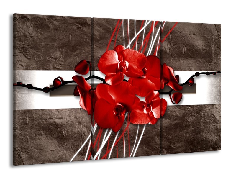 Glas schilderij Orchidee | Rood, Bruin, Wit | 165x100cm 3Luik