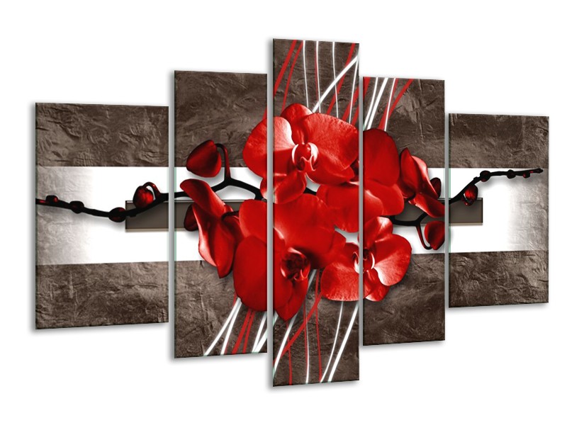 Canvas schilderij Orchidee | Rood, Bruin, Wit | 170x100cm 5Luik