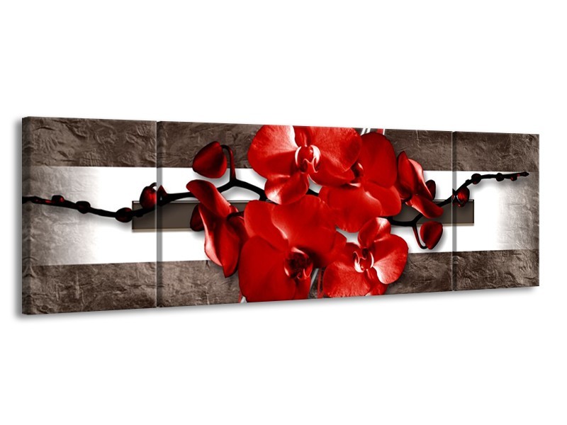 Glas schilderij Orchidee | Rood, Bruin, Wit | 170x50cm 3Luik