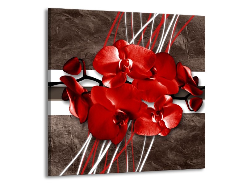 Glas schilderij Orchidee | Rood, Bruin, Wit | 50x50cm 1Luik
