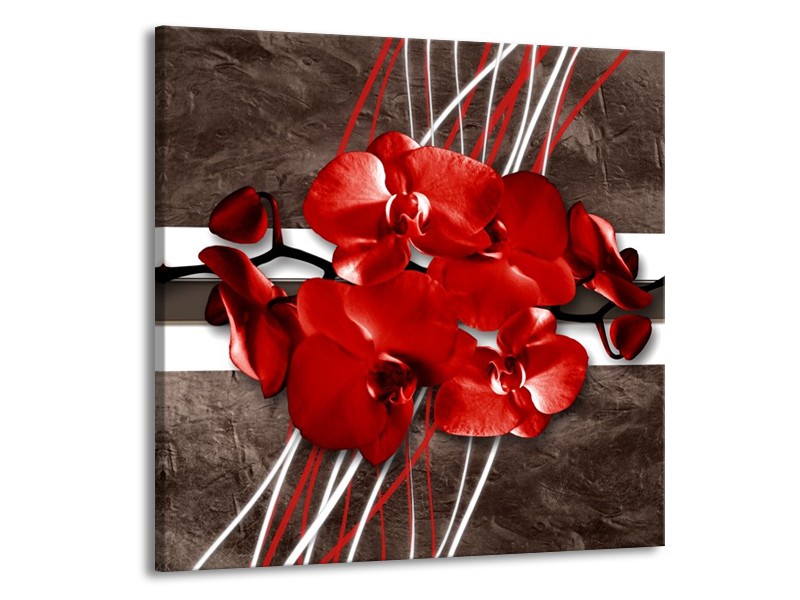 Canvas schilderij Orchidee | Rood, Bruin, Wit | 70x70cm 1Luik