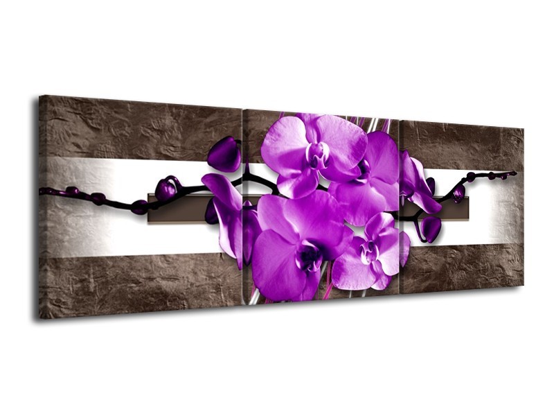 Canvas schilderij Orchidee | Paars, Grijs, Wit | 120x40cm 3Luik