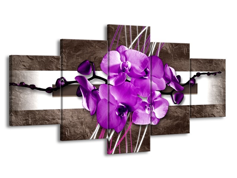 Glas schilderij Orchidee | Paars, Grijs, Wit | 150x80cm 5Luik