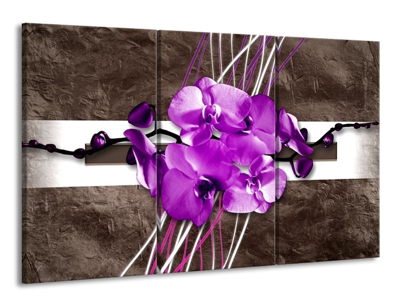 Glas schilderij Orchidee | Paars, Grijs, Wit | 165x100cm 3Luik