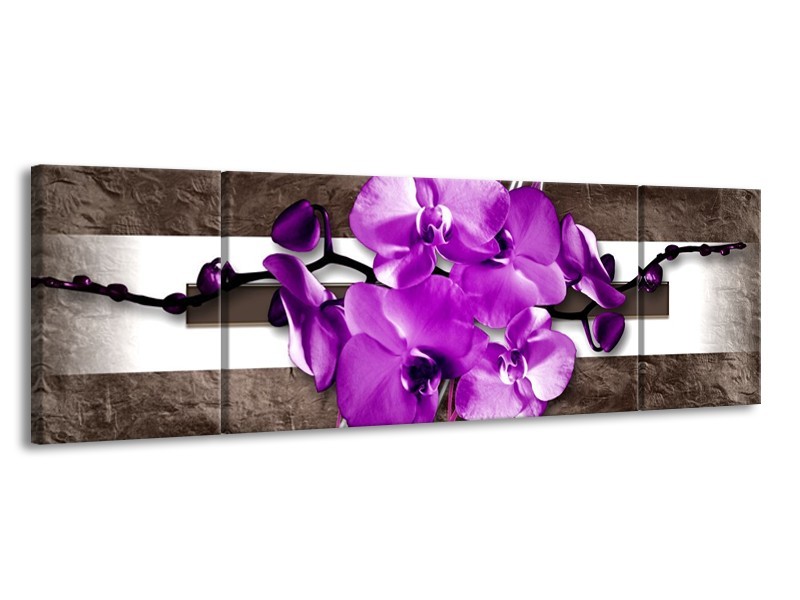 Glas schilderij Orchidee | Paars, Grijs, Wit | 170x50cm 3Luik