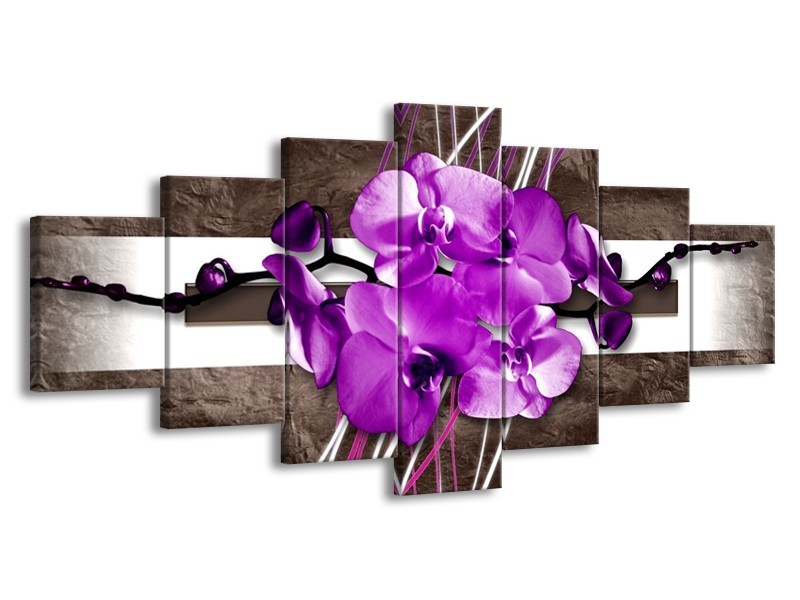 Glas schilderij Orchidee | Paars, Grijs, Wit | 210x100cm 7Luik