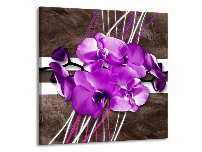 Canvas schilderij Orchidee | Paars, Grijs, Wit | 50x50cm 1Luik