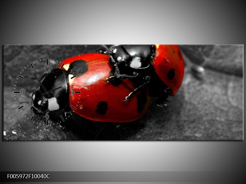 Klok schilderij Lieveheersbeestje | Rood, Zwart, Grijs | 100x40cm 1Luik