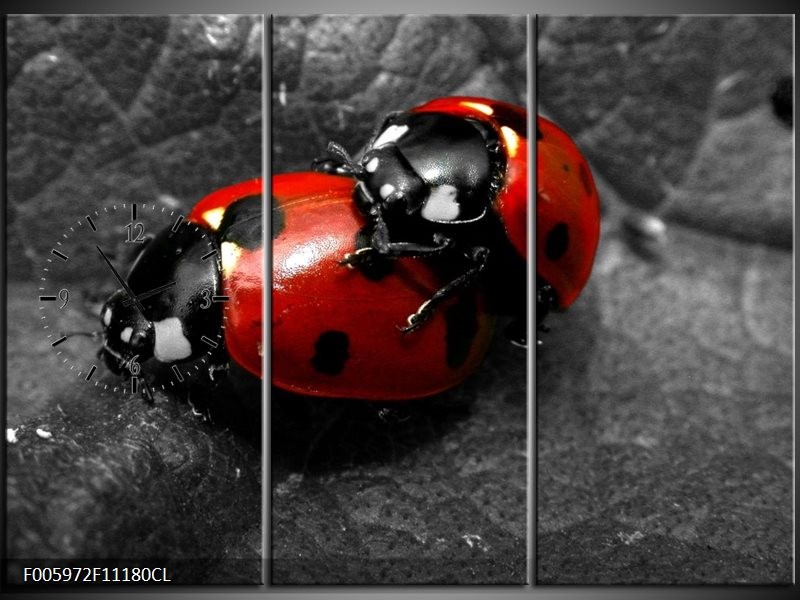 Klok schilderij Lieveheersbeestje | Rood, Zwart, Grijs | 111x80cm 3Luik