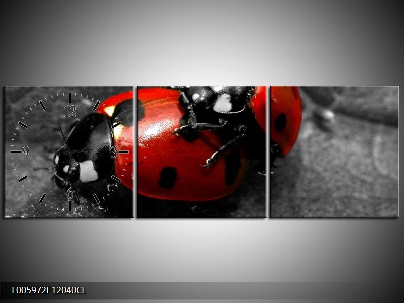 Klok schilderij Lieveheersbeestje | Rood, Zwart, Grijs | 120x40cm 3Luik