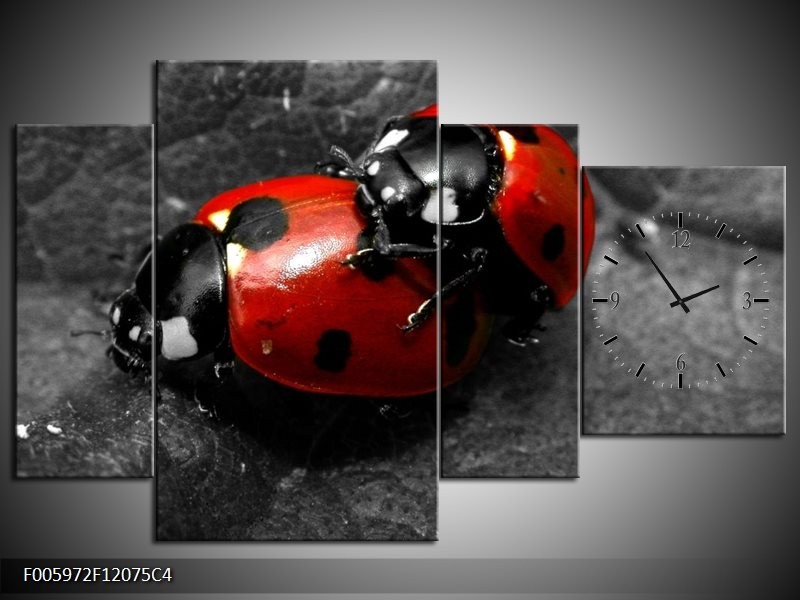 Klok schilderij Lieveheersbeestje | Rood, Zwart, Grijs | 120x75cm 4Luik