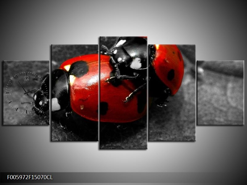 Klok schilderij Lieveheersbeestje | Rood, Zwart, Grijs | 150x70cm 5Luik