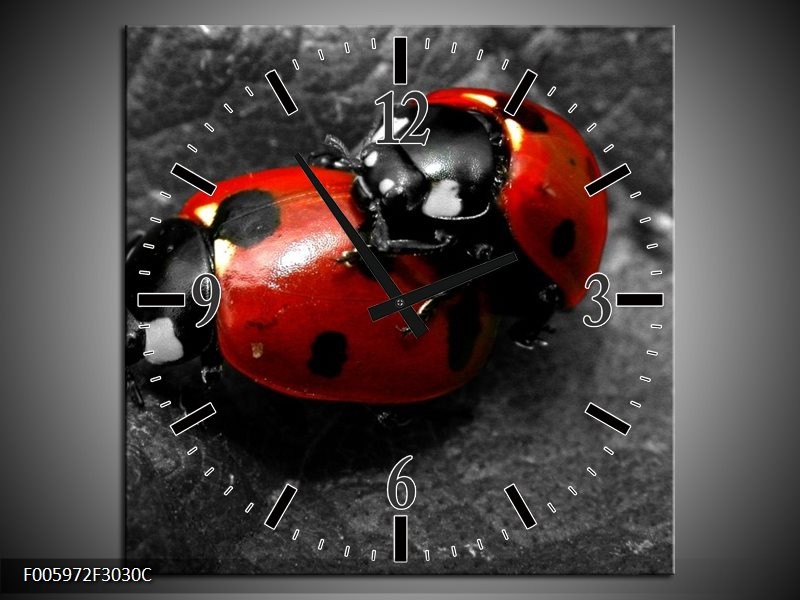 Klok schilderij Lieveheersbeestje | Rood, Zwart, Grijs | 30x30cm 1Luik