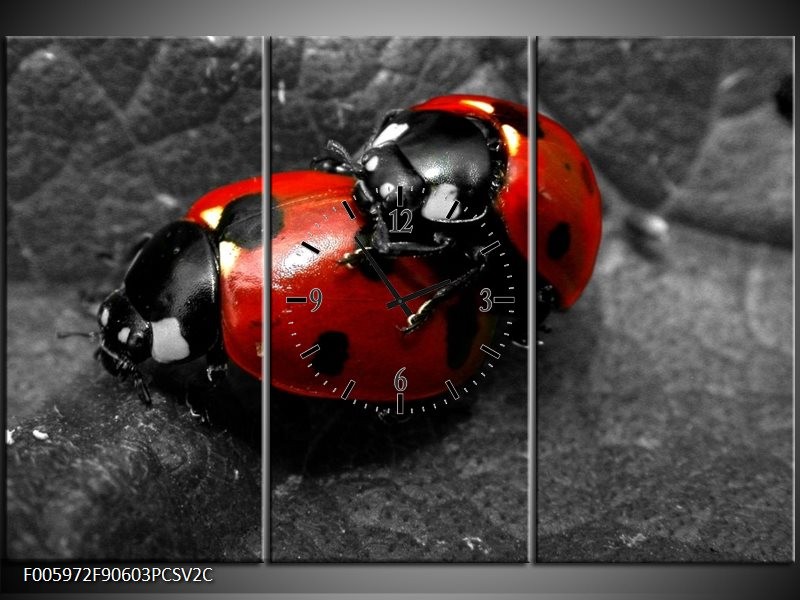 Klok schilderij Lieveheersbeestje | Rood, Zwart, Grijs | 90x60cm 3Luik