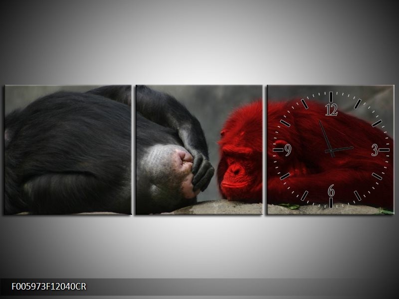 Klok schilderij Aap | Grijs, Rood, Wit | 120x40cm 3Luik
