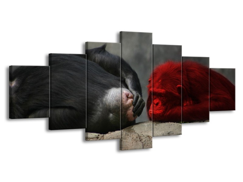 Canvas schilderij Aap | Grijs, Rood, Wit | 210x100cm 7Luik