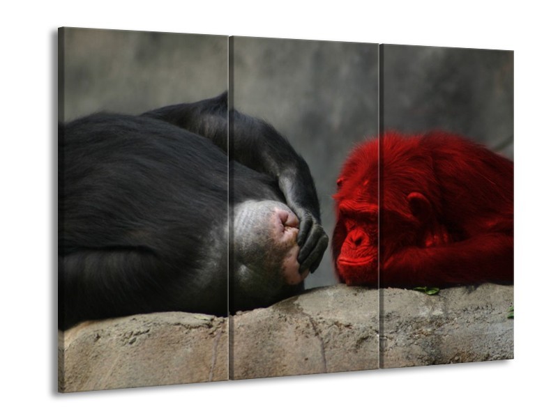 Canvas schilderij Aap | Grijs, Rood, Wit | 90x60cm 3Luik
