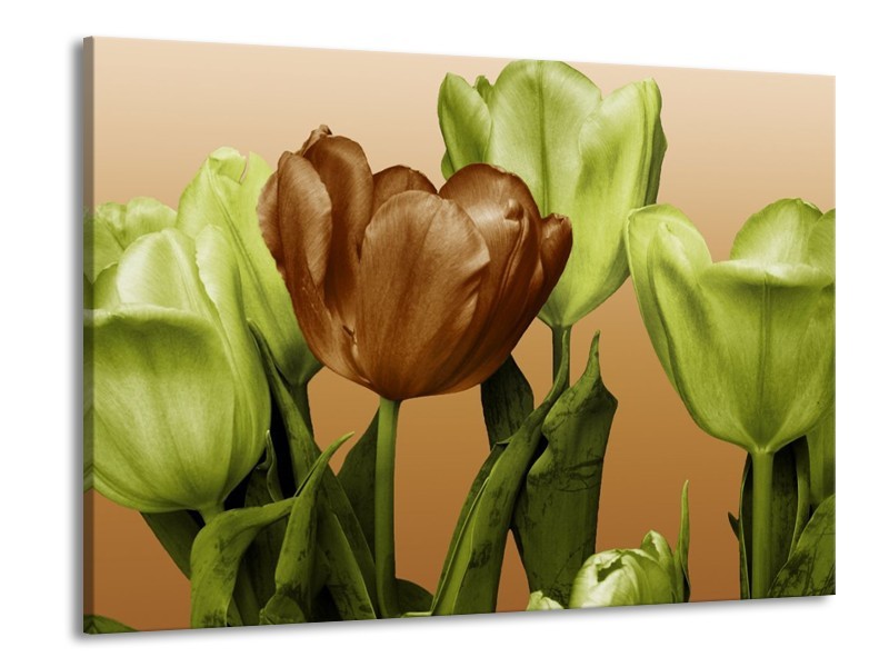 Canvas schilderij Tulp | Groen, Bruin, Wit | 100x70cm 1Luik