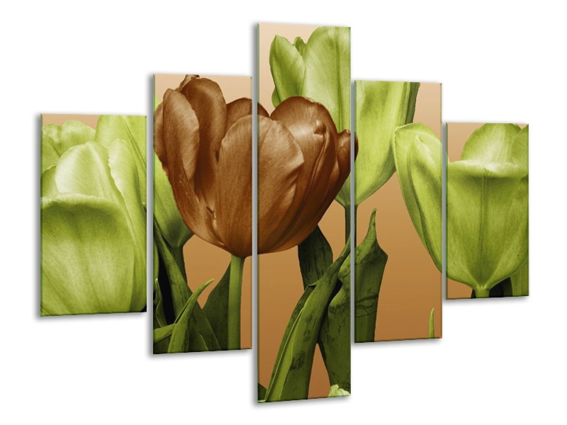 Canvas schilderij Tulp | Groen, Bruin, Wit | 100x70cm 5Luik