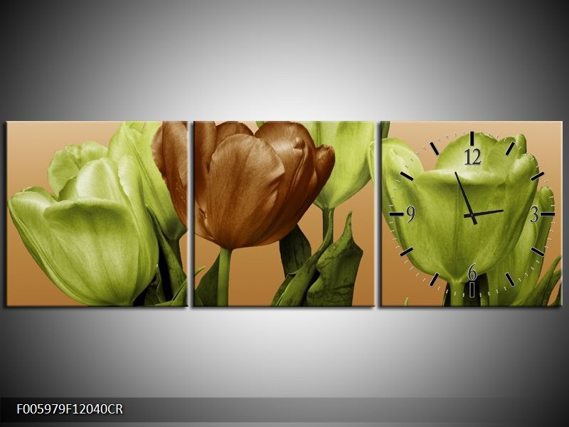 Klok schilderij Tulp | Groen, Bruin, Wit | 120x40cm 3Luik
