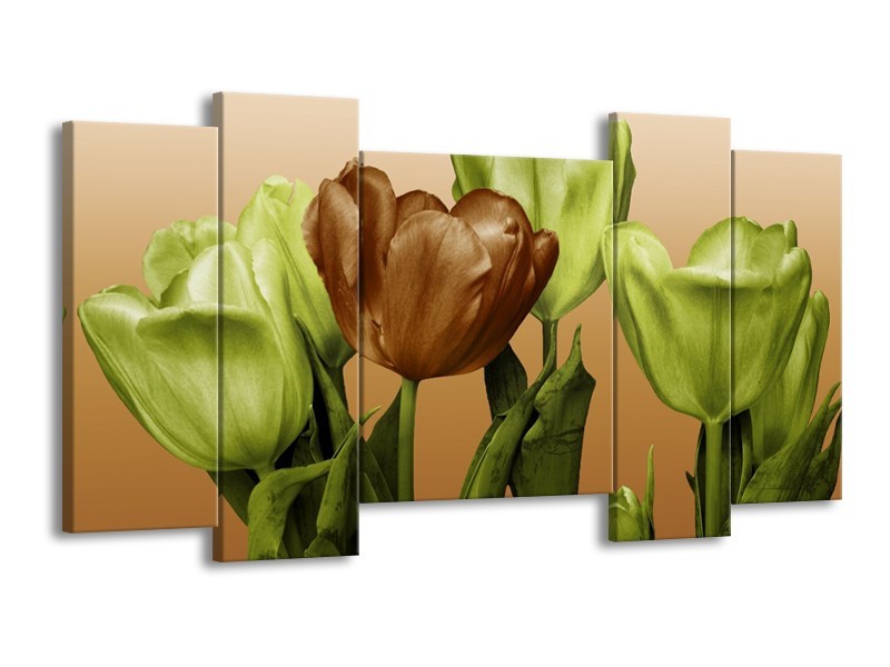 Canvas schilderij Tulp | Groen, Bruin, Wit | 120x65 5Luik