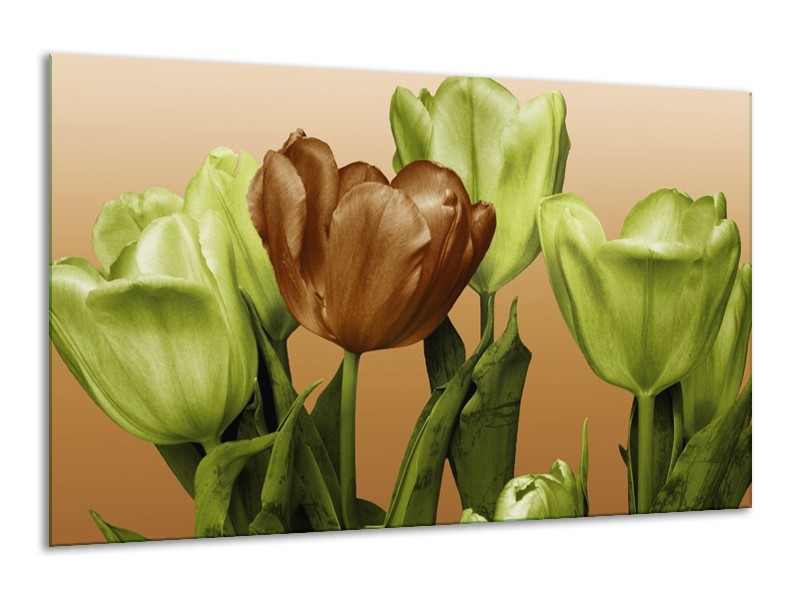 Canvas schilderij Tulp | Groen, Bruin, Wit | 120x70cm 1Luik