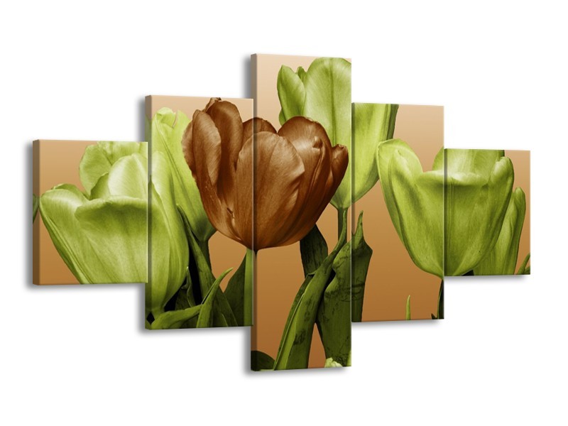 Canvas schilderij Tulp | Groen, Bruin, Wit | 125x70cm 5Luik
