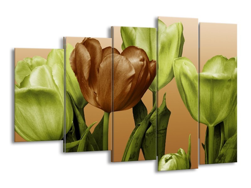 Canvas schilderij Tulp | Groen, Bruin, Wit | 150x100cm 5Luik