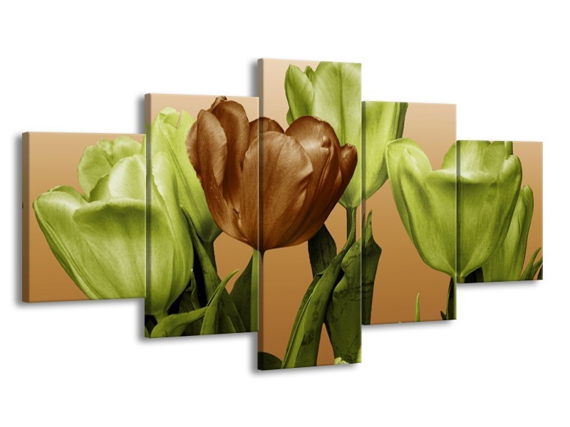 Canvas schilderij Tulp | Groen, Bruin, Wit | 150x80cm 5Luik