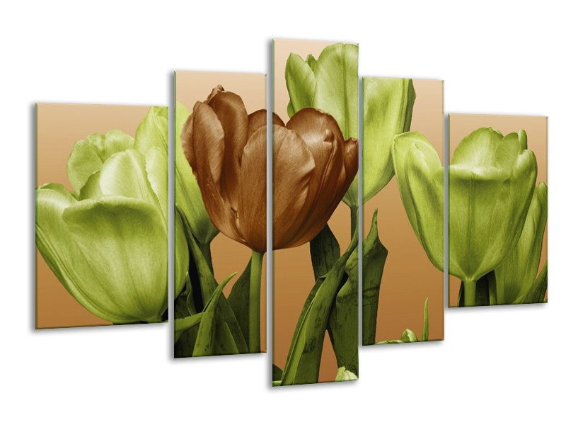 Canvas schilderij Tulp | Groen, Bruin, Wit | 170x100cm 5Luik