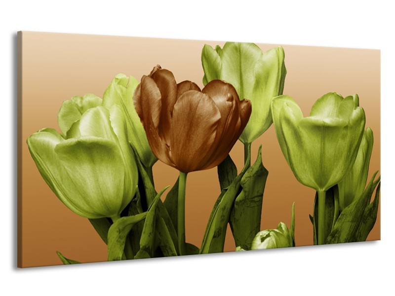 Canvas schilderij Tulp | Groen, Bruin, Wit | 190x100cm 1Luik