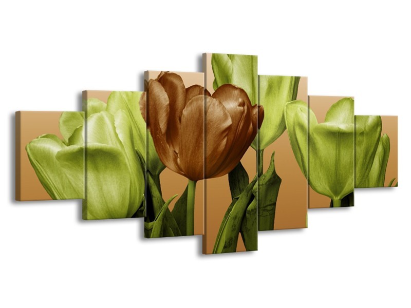 Canvas schilderij Tulp | Groen, Bruin, Wit | 210x100cm 7Luik