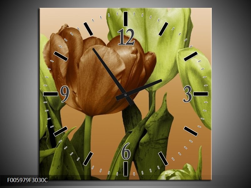 Klok schilderij Tulp | Groen, Bruin, Wit | 30x30cm 1Luik