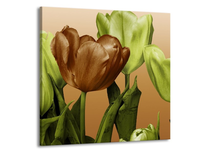 Canvas schilderij Tulp | Groen, Bruin, Wit | 50x50cm 1Luik