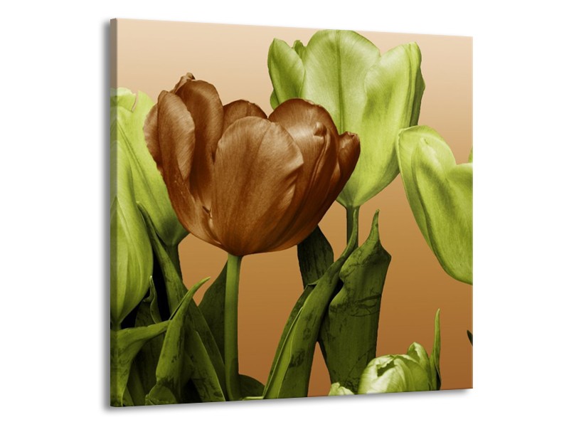 Canvas schilderij Tulp | Groen, Bruin, Wit | 70x70cm 1Luik