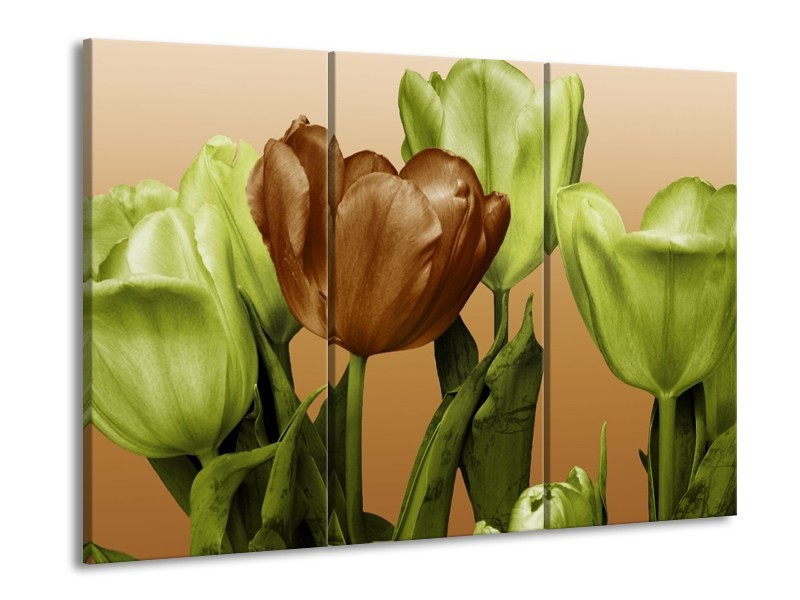 Canvas schilderij Tulp | Groen, Bruin, Wit | 90x60cm 3Luik