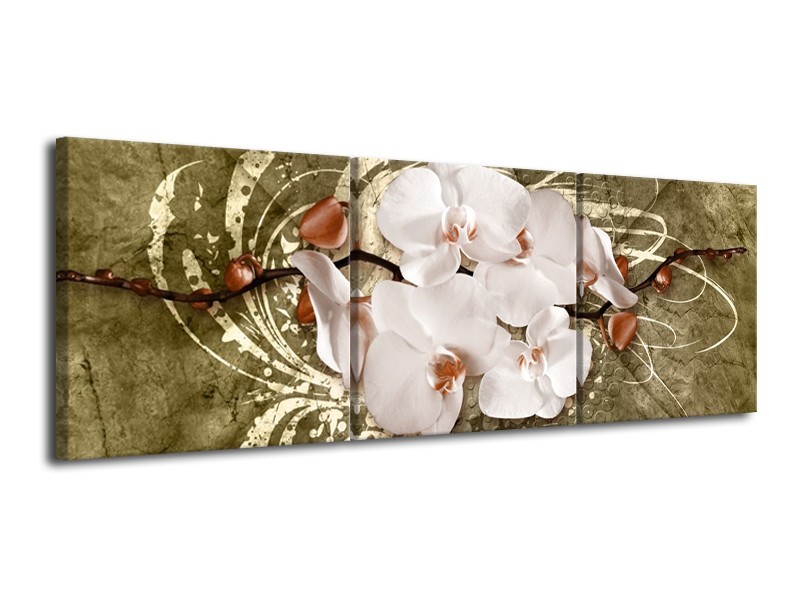 Glas schilderij Orchidee | Goud, Wit, Bruin | 120x40cm 3Luik